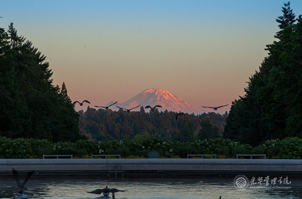 万利·(中国区)官方网站