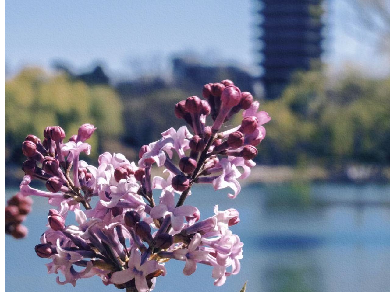 万利·(中国区)官方网站