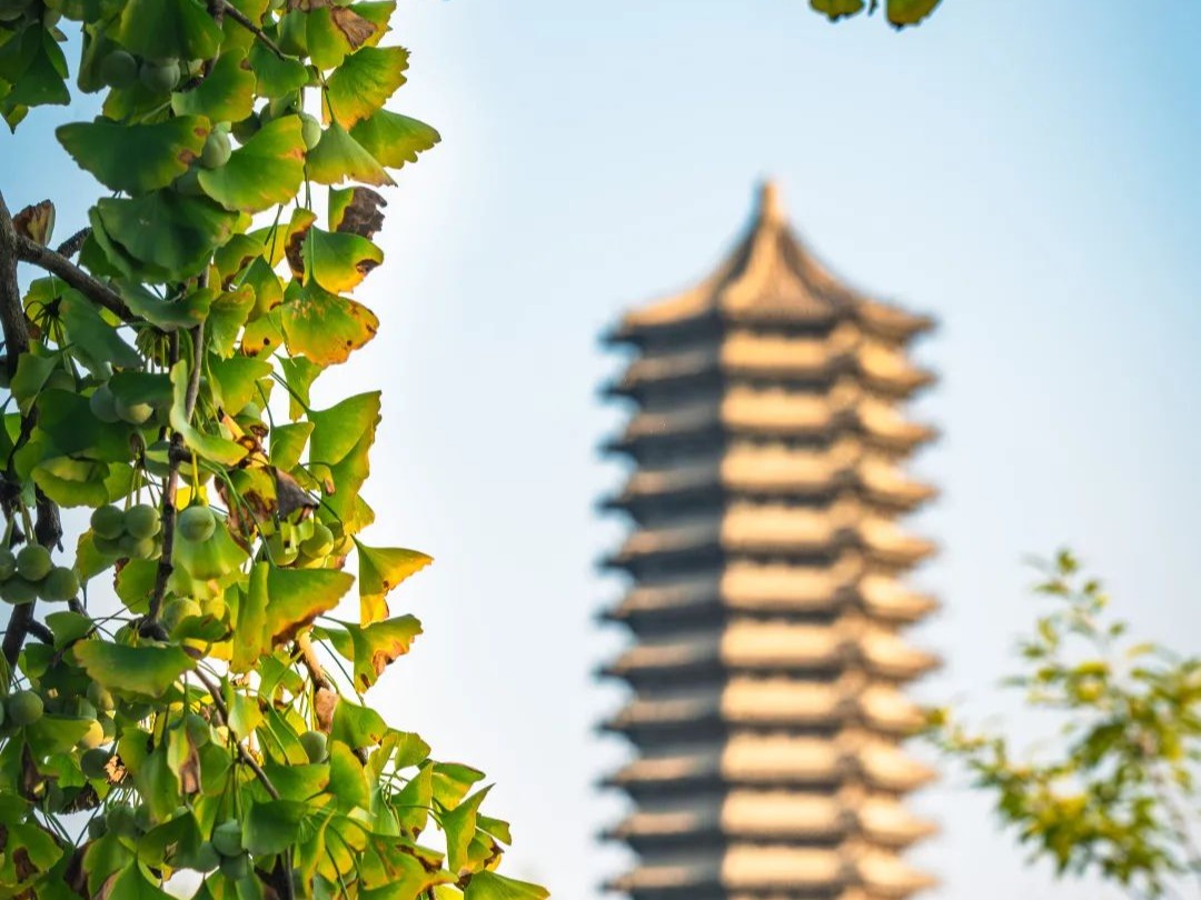 万利·(中国区)官方网站