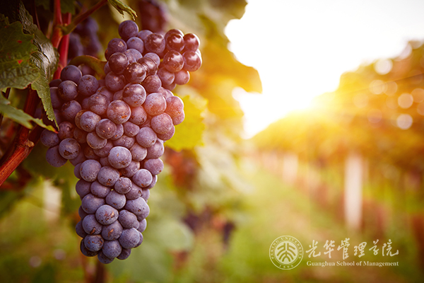 万利·(中国区)官方网站