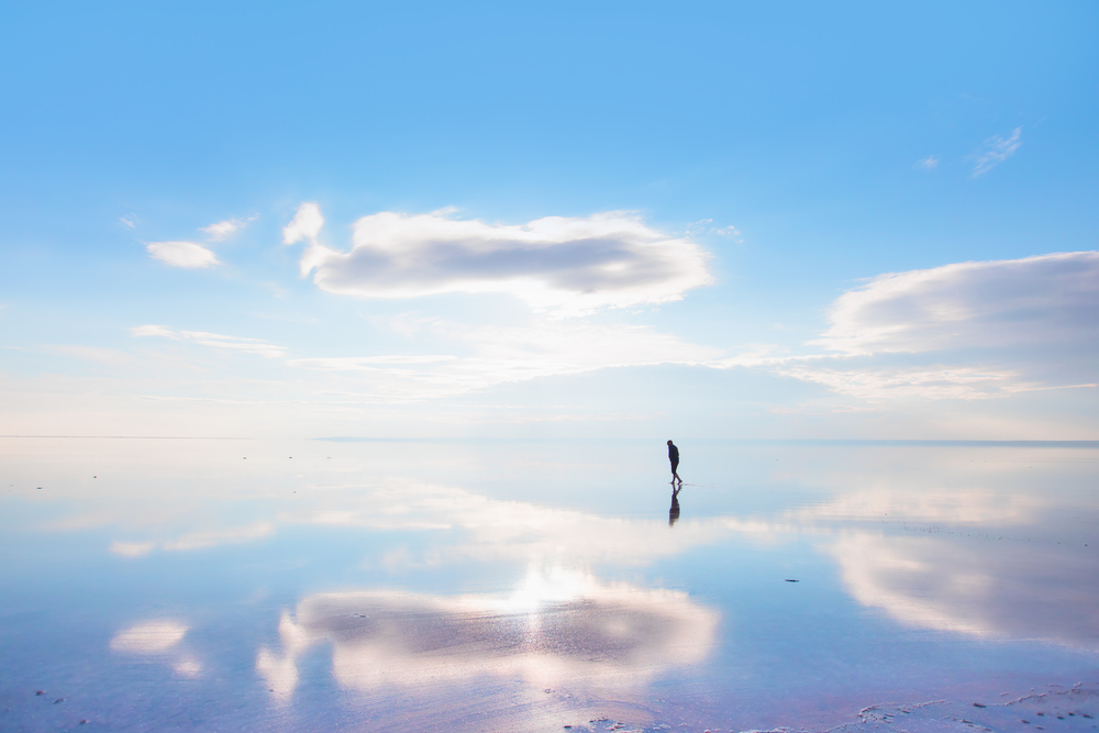 万利·(中国区)官方网站