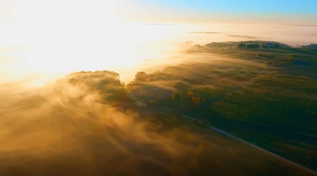 万利·(中国区)官方网站