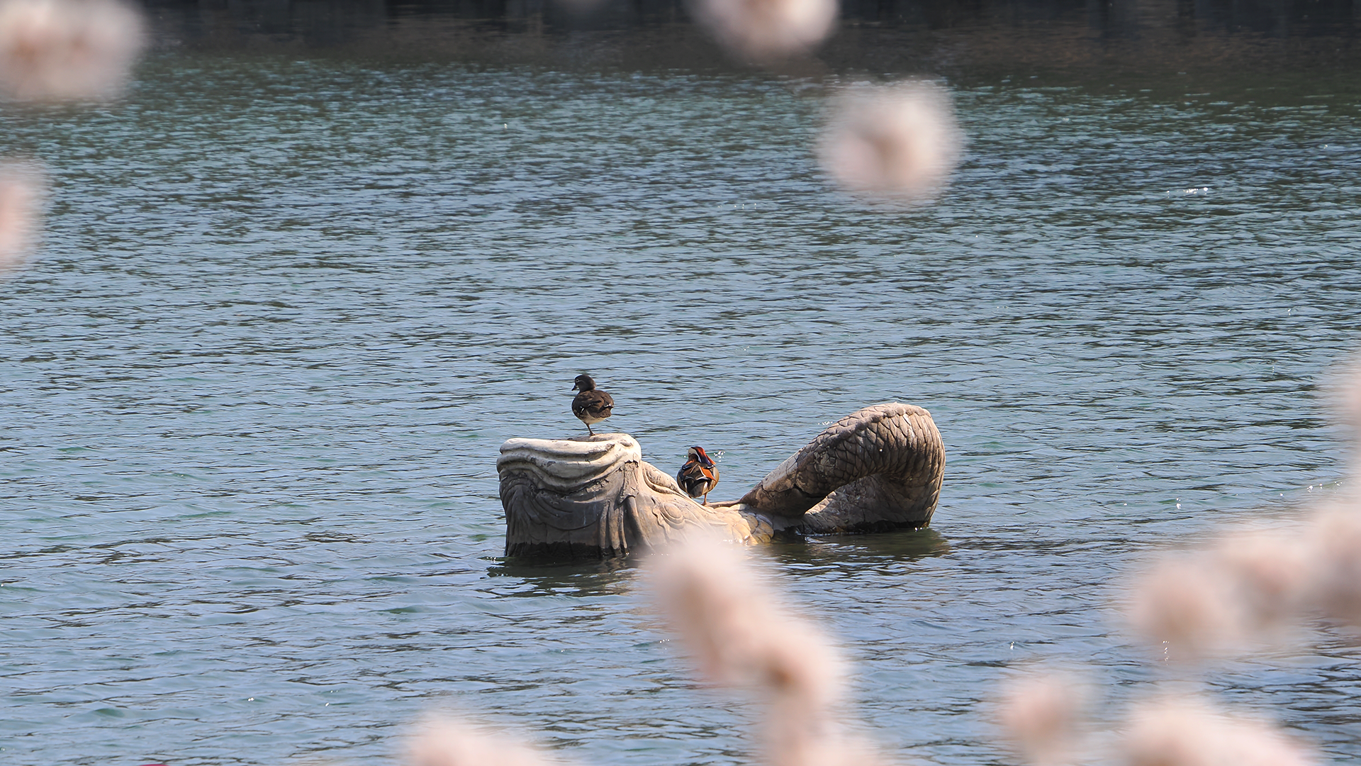 万利·(中国区)官方网站